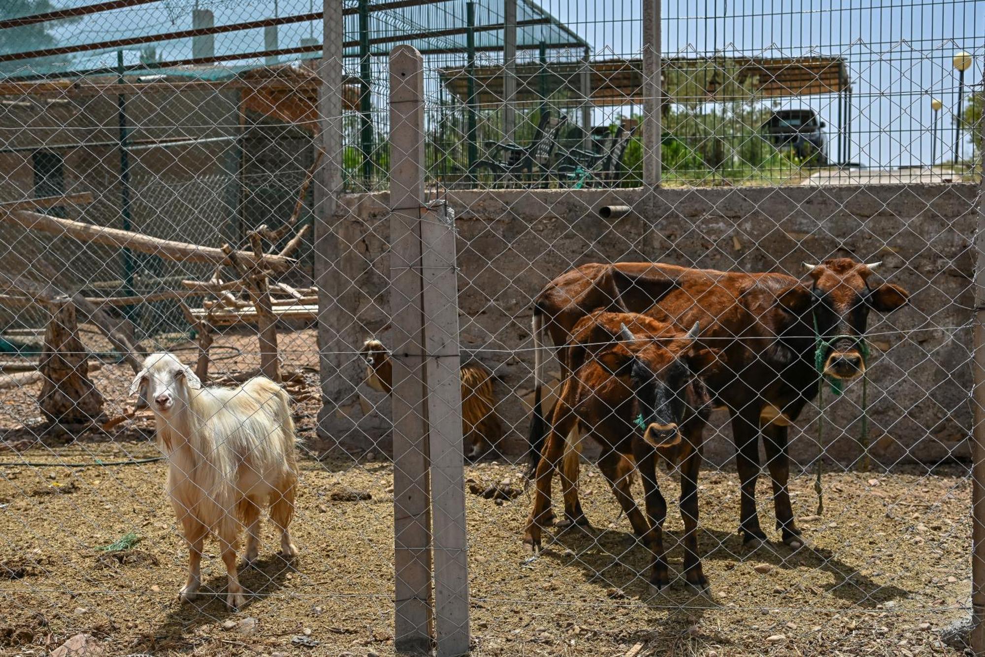 מלון Hrabil Saâda Le Parc Des Oliviers מראה חיצוני תמונה