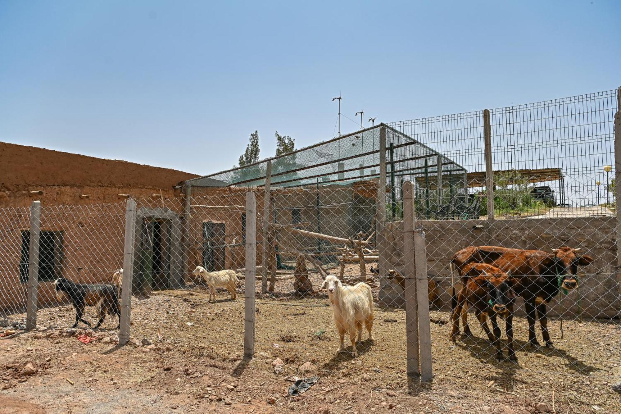 מלון Hrabil Saâda Le Parc Des Oliviers מראה חיצוני תמונה